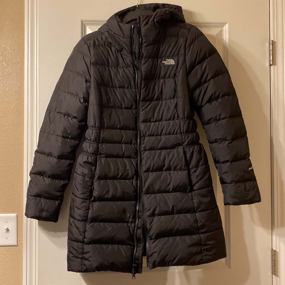 The north face Gotham parka